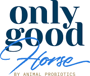 OnlyGoodHorse