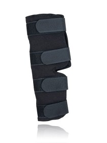 Bild på Hasskydd Hund strl L