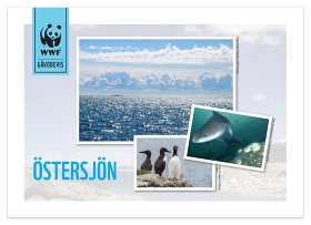 Bild på WWF Gåvobevis
