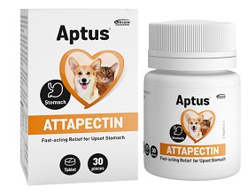 Bild på Aptus Attapectin tabletter 30 st