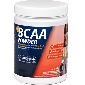 Bild på BCAA Race Summer Fruit 500 g
