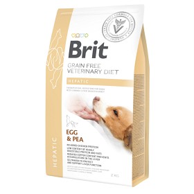 Bild på Brit GF Vet Diets Dog Hepatic 2 kg