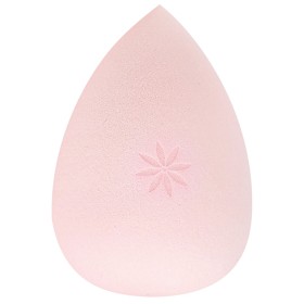 Bild på BrushWorks Complexion Sponge