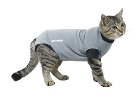 Bild på Buster Body Suit EasyGo till katt, XXXS