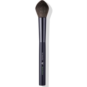 Bild på Dr Hauschka Blush Brush
