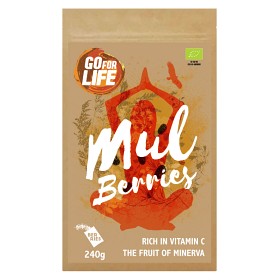 Bild på Go for life Mullbär 240 g