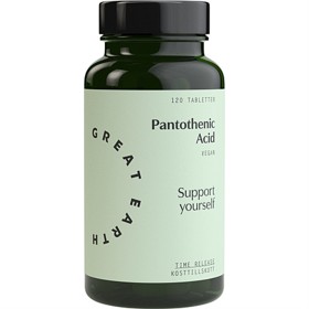 Bild på Great Earth Pantothenic Acid 120 tabletter