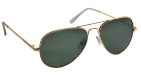Bild på Haga Eyewear Toronto Polarized Gold Metal