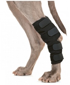 Bild på Hasskydd Hund strl M