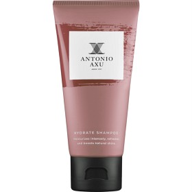 Bild på Antonio Axu Hydrate Shampoo travel 60 ml