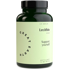 Bild på Great Earth Lecithin 120 kapslar