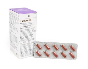 Bild på Lyngonia 60 tabletter