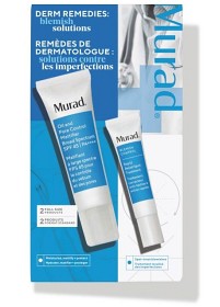 Bild på Murad Derm Remedies Blemish Solutions Kit