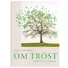 Bild på Om tröst, hopp och livsmod