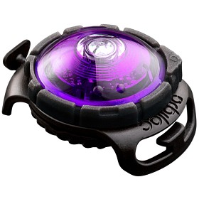 Bild på Orbiloc Safety Light hundlampa Purple