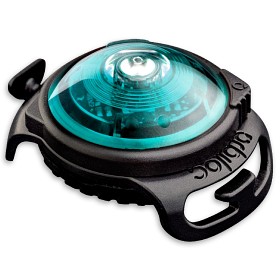 Bild på Orbiloc Safety Light hundlampa Turquoise