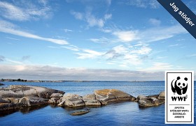 Bild på Rabattkod till förmån för WWF