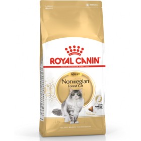 Bild på Royal Canin Norwegian Forest Cat Adult Torrfoder för katt 10 kg