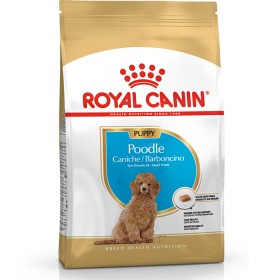 Bild på Royal Canin Poodle Puppy Torrfoder för hundvalp 3 kg