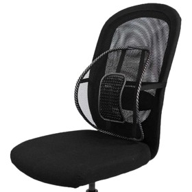 Bild på Swedish Posture Back Rest ländryggstöd