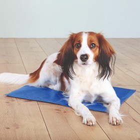 Bild på Trixie Kyldyna 50x40 cm Blå