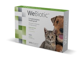 Bild på WeBiotic 30 tuggtabletter