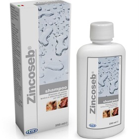 Bild på Zincoseb Shampoo 250 ml