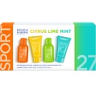 Baylis & Harding Men's Citrus, Lime & Mint Travel Essentials Gift Set 300 ml