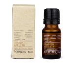 Booming Bob Essential Oil Apelsin 10 ml