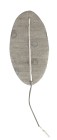Cefar Dura-Stick Premium Självhäftande Elektroder 5x10 cm Oval, 4 st