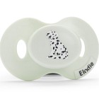Elodie Napp Darling Dalmatians