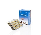 Hepacyl 60 kapslar