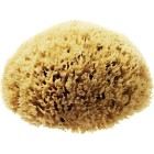 Hydréa London Honeycomb Sea Sponge 5,0 N
