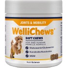 NutriScience Wellichews Joints & Mobility för små hundar