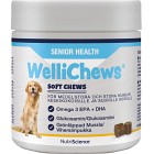 NutriScience Wellichews Senior mellan/stora hundar