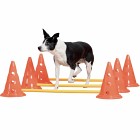 Pawise Agility-hinder med koner 30 cm