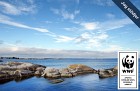 Rabattkod till förmån för WWF