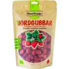 Rawpowder Jordgubbar frystorkade 50 g