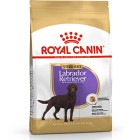 Royal Canin Labrador Retriever Sterilised Adult Torrfoder för hund 12 kg