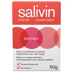 Salivin sugtabletter Red Fruit 50 g