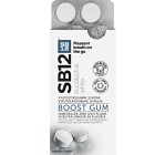SB12 Boost Eucalyptus White tuggummi 10 st