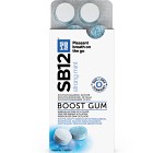 SB12 Boost Strong Mint tuggummi 10 st