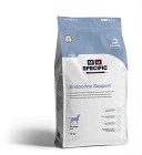 Specific CED-DM Endrocrine Support 12 kg