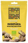 Spicemaster Ingefära ståpåse 21 g