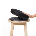 Swedish Posture Balance Balanssits