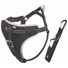 Trixie Bilsele Dog Protect Svart M: 50-65 cm/20 mm