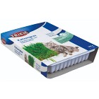 Trixie Kattgräs 100 g