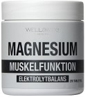 WellAware Magnesium 210 tabletter