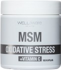WellAware MSM + Vitamin C 100 kapslar