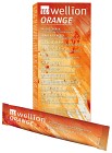 Wellion ORANGE 10 st